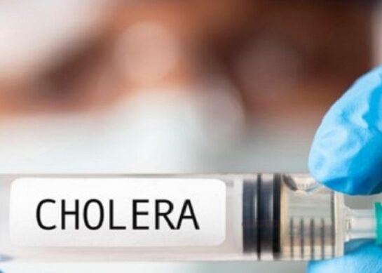 Cholera: causes, symptoms and prevention
